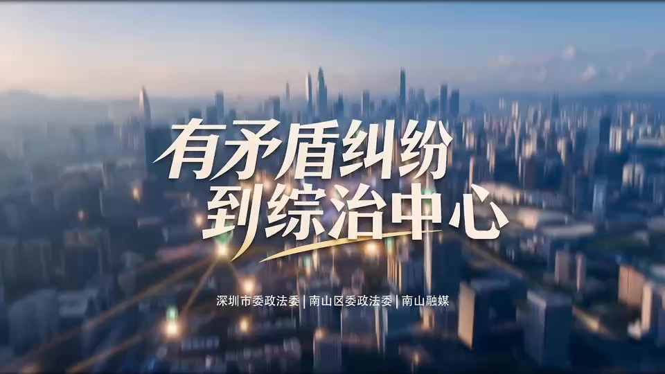 有矛盾纠纷到综治中心